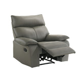 Wildcat Aviarah Grey Motion Recliner - Ornate Home