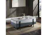 Wilkins Gray & White Coffee Table W/Lift Top - Ornate Home