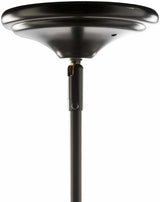 Williamsville Ceiling Light - Clearance - Ornate Home