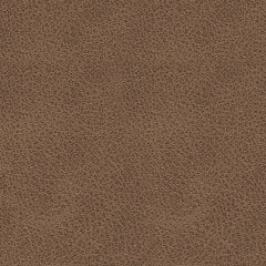 WillowBend Caramel Sofa and Loveseat - Ornate Home