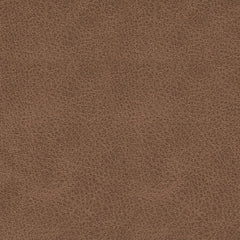WillowBend Caramel Sofa and Recliner - Ornate Home