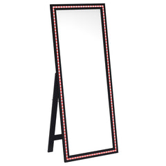 Windrose Black Standing Mirror - Ornate Home