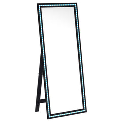Windrose Black Standing Mirror - Ornate Home