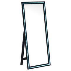 Windrose Black Standing Mirror - Ornate Home