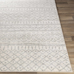 Winston Area Rug - Clearance - Ornate Home