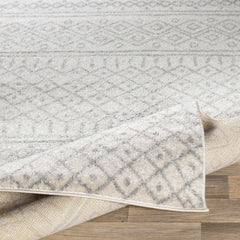 Winston Area Rug - Clearance - Ornate Home