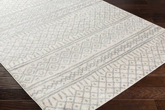 Winston Area Rug - Clearance - Ornate Home