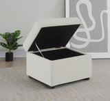 Winter Beige Upholstered Hydraulic Lift Top Storage Ottoman - Ornate Home