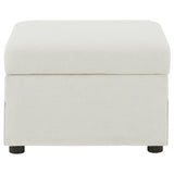Winter Beige Upholstered Hydraulic Lift Top Storage Ottoman - Ornate Home