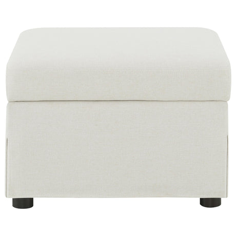 Winter Beige Upholstered Hydraulic Lift Top Storage Ottoman - Ornate Home