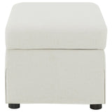 Winter Beige Upholstered Hydraulic Lift Top Storage Ottoman - Ornate Home