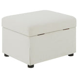 Winter Beige Upholstered Hydraulic Lift Top Storage Ottoman - Ornate Home