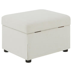 Winter Beige Upholstered Hydraulic Lift Top Storage Ottoman - Ornate Home