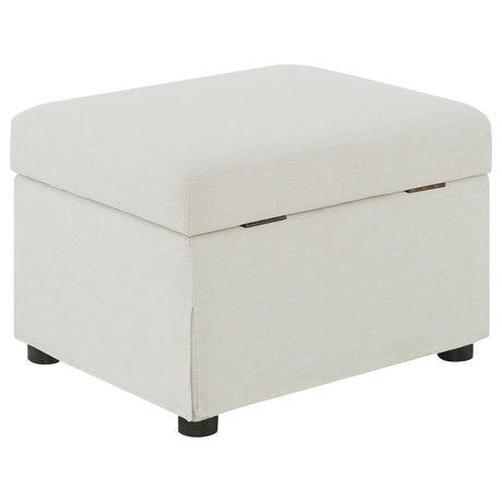 Winter Beige Upholstered Hydraulic Lift Top Storage Ottoman - Ornate Home