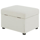 Winter Beige Upholstered Hydraulic Lift Top Storage Ottoman - Ornate Home