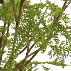 Woodland Fern Green Centerpiece - Ornate Home