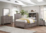 Woodrow Brownish Gray Twin/Full Toy Boxes (One Set) - Ornate Home