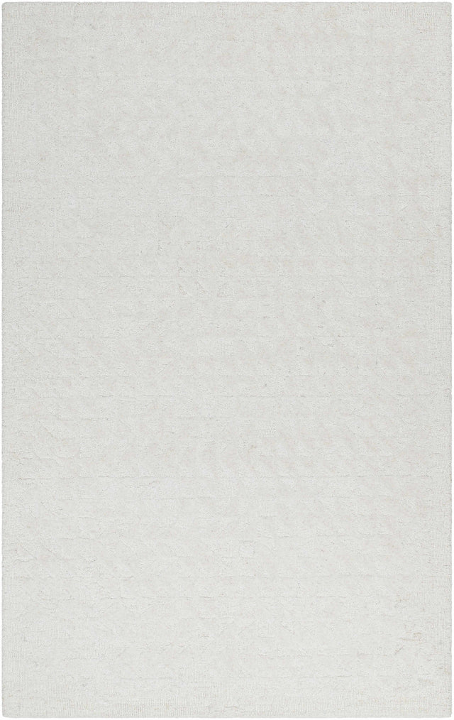 Xenon Area Rug - Clearance - Ornate Home