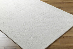 Xenon Area Rug - Clearance - Ornate Home