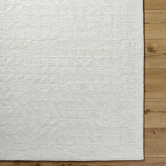 Xenon Area Rug - Clearance - Ornate Home