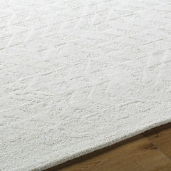 Xenon Area Rug - Clearance - Ornate Home