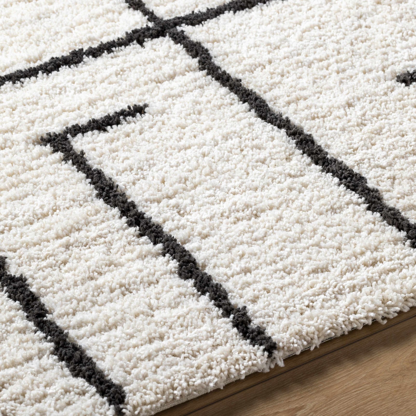 Xenos Area Rug - Clearance - Ornate Home