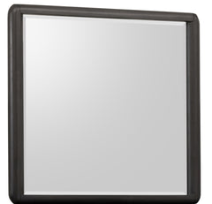 Xolani Beveled Glass Wall or Dresser Mirror in Jaguar - Ornate Home
