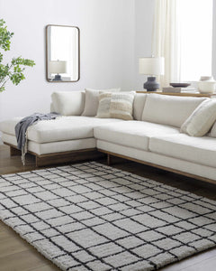 Yaotl Area Rug - Clearance - Ornate Home