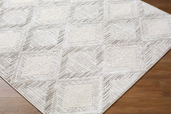 Yayoi Area Rug - Ornate Home