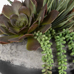 Yuma Green Succulent Iron Planter Centerpiece - Ornate Home