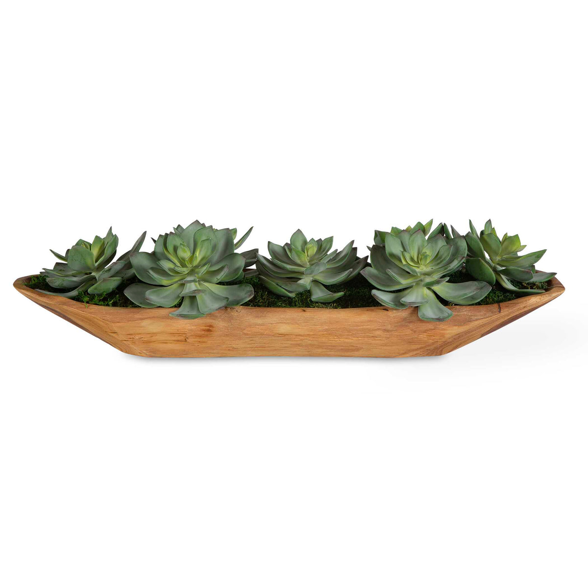 Yuma Green Succulent Wood Bowl Centerpiece - Ornate Home