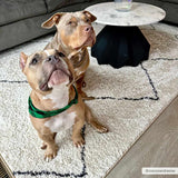 Yuya Washable Area Rug - Ornate Home