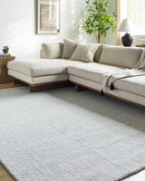 Zareh Gray Blue Solid Area Rug - Clearance - Ornate Home