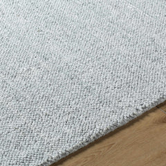 Zareh Gray Blue Solid Area Rug - Clearance - Ornate Home