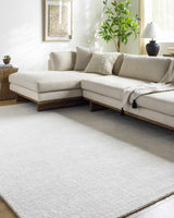 Zareh Off White Solid Area Rug - Clearance - Ornate Home