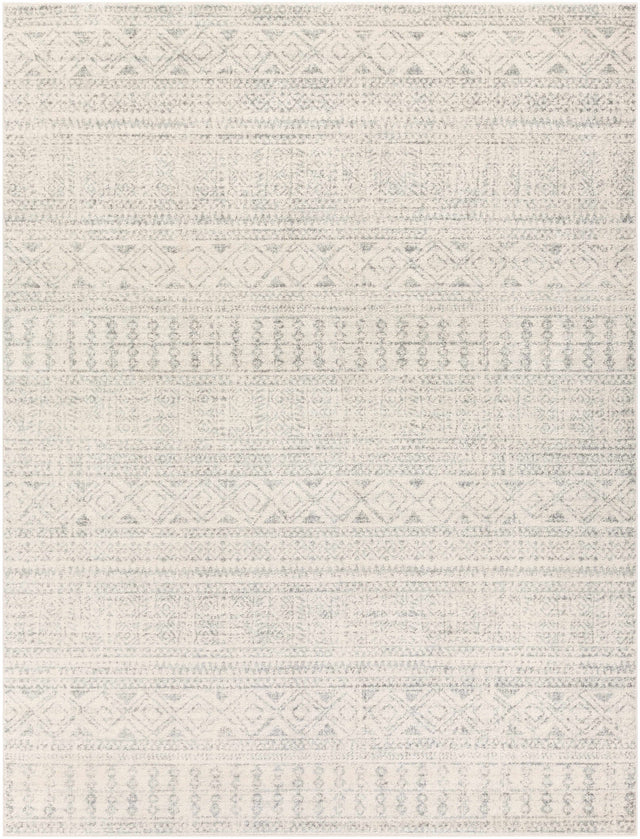 Zarephath Area Rug - Ornate Home