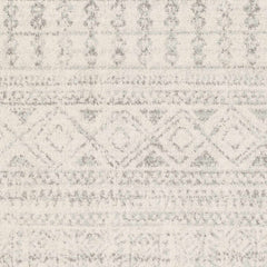 Zarephath Area Rug - Ornate Home