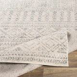 Zarephath Area Rug - Ornate Home