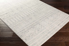 Zarephath Area Rug - Ornate Home