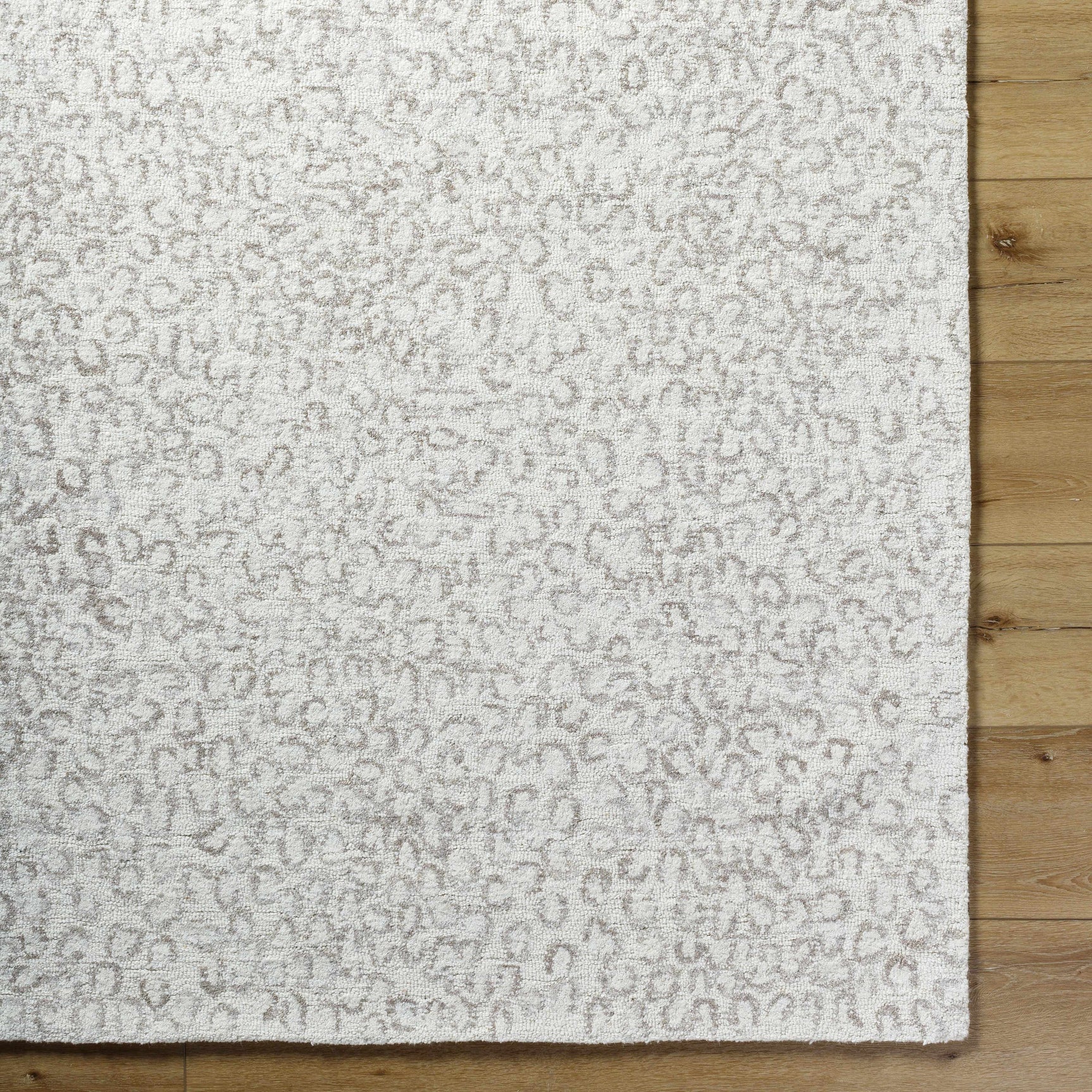 Zayit Area Rug - Clearance - Ornate Home