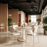 Zeal Light Gray & Beige Dining Chair (Set of 4)