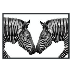 Zebras Black/White Photography 48x72 - Ornate Home