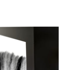 Zebras Black/White Photography 48x72 - Ornate Home