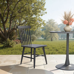 Zeilen Black Dining Chair (Set of 2) - Ornate Home