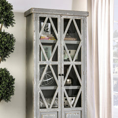 Zenia Weathered Gray Curio - Ornate Home