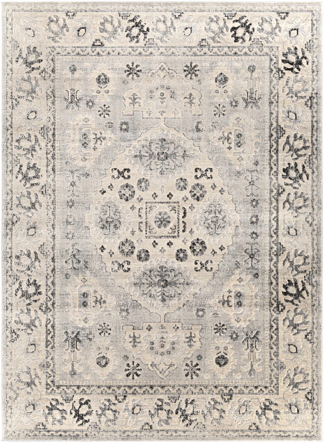Zephyr Area Rug - Clearance - Ornate Home