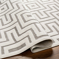 Zevi Beige Outdoor Rug - Clearance - Ornate Home