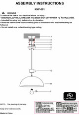 Zhongxing Pendant - Ornate Home