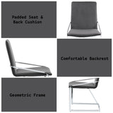 Zlatan Gray Side Chair (Set of 2) - Ornate Home