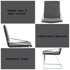 Zlatan Gray Side Chair (Set of 2) - Ornate Home